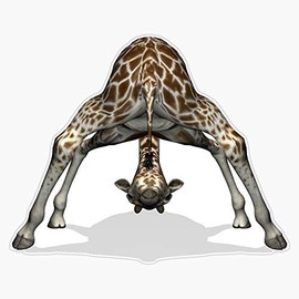 Evan Decals Childish Giraffe Sticker Vinyl Bumper Sticker Decal Waterproof 5 Inch, EVAN-YOGA-STICKERS-1019