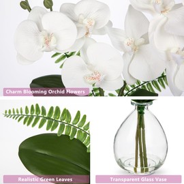 White Orchids Artificial Flowers, Faux Orchid in Glass Vase Real Touch Small Phalaenopsis Orchid Flowers Arrangements with Clear Vase Orchid Centerpiece for Dining Room Table
