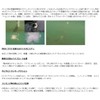 Smith Puppet Surface SMITH Puppet Surface 16 Splash Berry 1.2