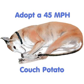 CafePress 45 MPH Couch Potato Sherpa Fleece Throw Blanket 60" L x 50" W