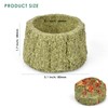 ERKOON 100% Edible Premium Timothy Hay Chew A Bowl for