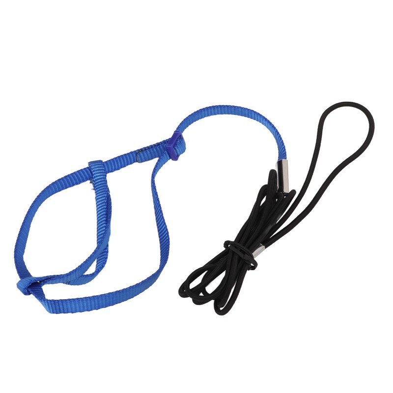 Parrot Harness Leash Adjustable Bird Flying Harness Traction Rope with