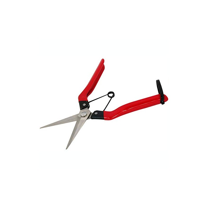 KONYO 31286 Stainless Steel Fruit Shears 8.3 inches (210 mm)