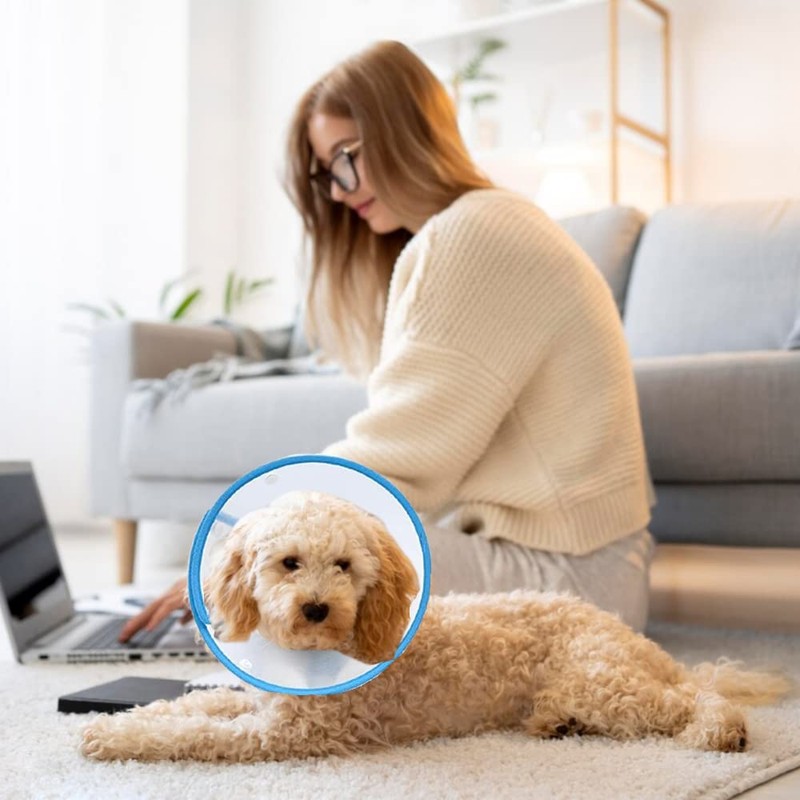 renyigou Pet cone collar Cat cone dog cone rehabilitation soft