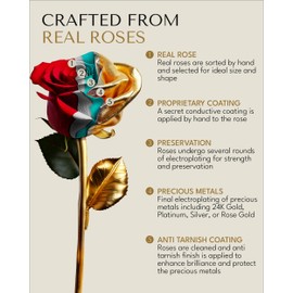Forever Rose 24K Gold Dipped Real Rose – Handmade, Long-Lasting Preserved Flower in Leather Case – Romantic Gift for Anniversary, Valentine's Day, Mother's Day, Birthday, Wedding, Wife, Girlfriend
