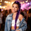 Purple Braided Ponytail Hair Extension, Claw Clip in Synthetic Braid