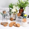 Yalikop 30 Pieces Invisible Plant Pot Feet Risers with Non