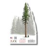 Earth Sky + Water - Coastal Redwood - 3.5″ Sticker