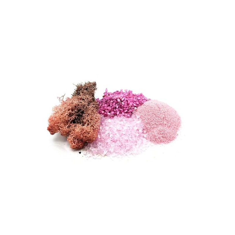 Pink Lovers Terrarium/Houseplant Decoration Kit