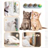Vineer Again Cat Toy Ball for Cat Licking Catnip Digestion