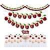 Seyal® Cherry Theme Birthday Party Supplies