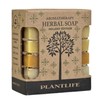 Plantlife Holiday Travel Bar Soap Sampler Pack of 6 -