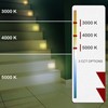 Ciata LED Stair Lights - 3 CCT Options (3000K/4000K/5000K) |