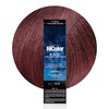 L'oreal Paris Excellence Hicolor Tinte permanente para el cabello, ciruela