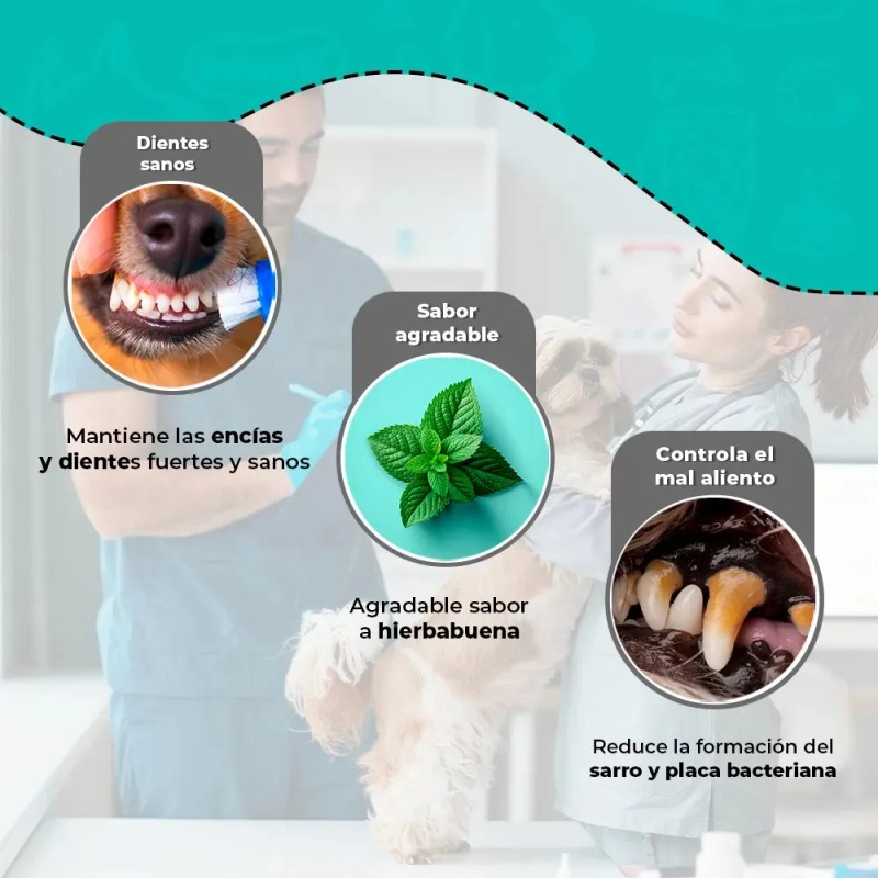 Pasta Dental Perros 90g Medical Solutions Modelo FL3622