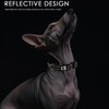 Hiifardz Airtag Dog Collar with QR Code Tag - Reflective