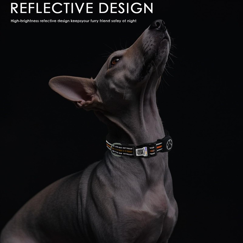 Hiifardz Airtag Dog Collar with QR Code Tag - Reflective