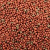 Pisces Pros Betta Bites Fish Food (2.5 oz)
