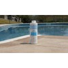 Aqua Clear Pool Products Algaecide 32 oz.