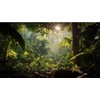 Avolander Aquarium Background, Ocean Fish Tank Background, Terrarium Background Cloth,