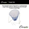 Champion Sports Target Net