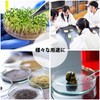 HIRAISM Petri Dish, Plastic Petri Dish with Lid, Laboratory Supplies,