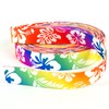 Country Brook Design - Hawaiian Rainbow Polyester Webbing (1 Inch,