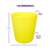 Bloomsworld 8 Toddler Plastic Cups Set, Reusable, BPA Free, Kids