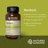 Nature's Sunshine Burdock 100 capsules