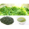 New Tea, 2023, Deep Steamed Kakegawa Tea, Shizuoka Tea, Kakegawa