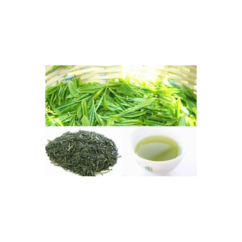 New Tea, 2023, Deep Steamed Kakegawa Tea, Shizuoka Tea, Kakegawa