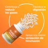 Arbora AntiGAS Orange enzima lipasa para digerir grasas y frituras