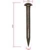 FUXXER® 50 x Antique Brass Design Round Head Nails, Vintage