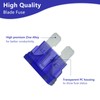 Fuselechada (80Pcs) 3 Amp Standard Fuse, 3A Car Blade Fuses