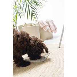 Beeztees K&BZ Puppy Rubber Lick Mat Grey Dog Toy 20 x 20 cm