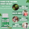 STRENAX STRENAX Organic Moringa Powder Capsules C Natural Dietary Supplement
