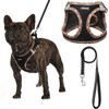 AMTOR Dog Harness with Leash Set,No Pull Adjustable Reflective Step-in