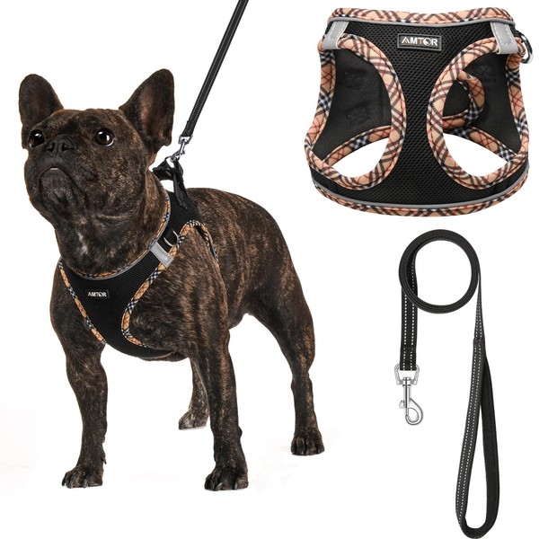 AMTOR Dog Harness with Leash Set,No Pull Adjustable Reflective Step-in