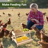 Double Chicken Picnic Table, Large Capacity Wooden Chicken Feeder No