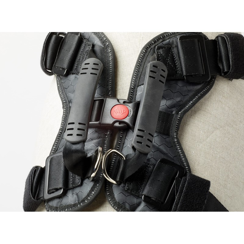 DogMaster 2.0 Dog Safety Belt, Black/Black, Small