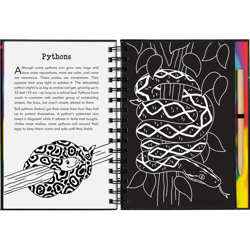 Scratch & Sketch Reptiles & Amphibians