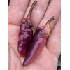 Pink Bubblegum 7 Pot BBG Scorpion Super Hot Pepper Premium