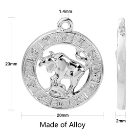 KitBeads 24pcs 12 Constellation Charms Tibetan Zodiac Sign Charms Filigree Vintage Twelve Constellation Charms for Jewelry Making Bracelets Bulk YH-FIND-CJC0017-13P