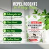 Mighty Mint Natural Rodent Repellent Pouches - 12 Count