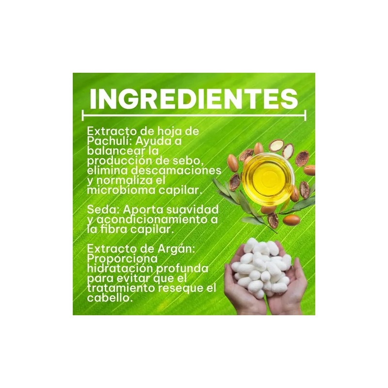 Nefertiti Shampoo Control De Caspa 300ml