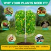 2 Pack Winter Fruit Tree Netting Sets with Zipper Drawstring,