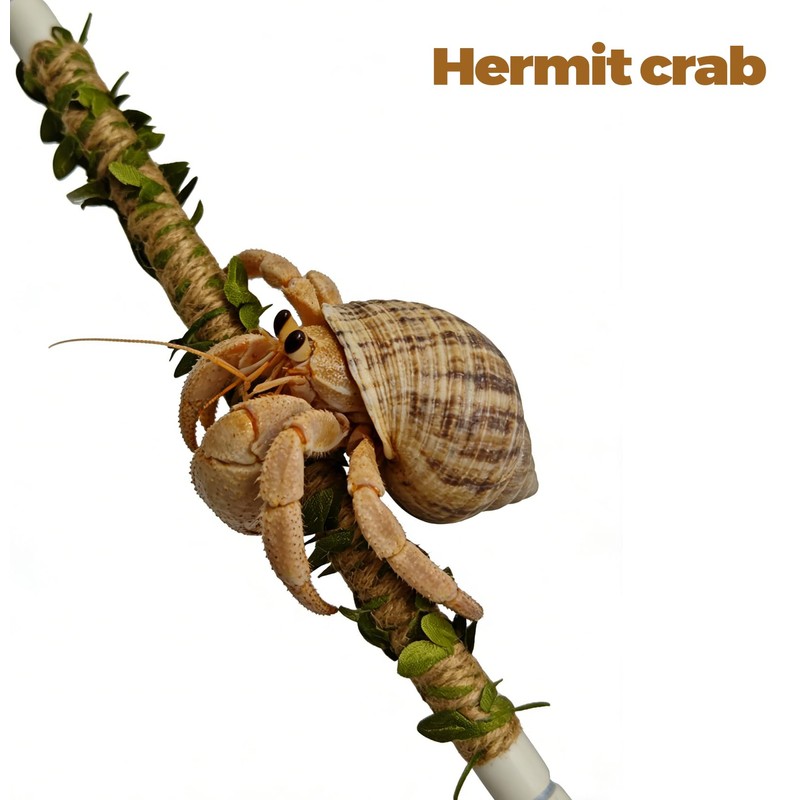 Play as Pro Snake Climbing Stick for Ball Python &