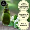 Naturevibe Botanicals Naturevibe Botanicals Amla Oil 32oz and Bhringraj Oil