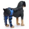 Dog Hind Leg Brace Breathable Elastic Shockproof Dog Leg Protector