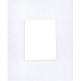 16x20 Signature Picture Mat Cut for 8x10 Picture-Perfect for Anniversaries, Weddings and More